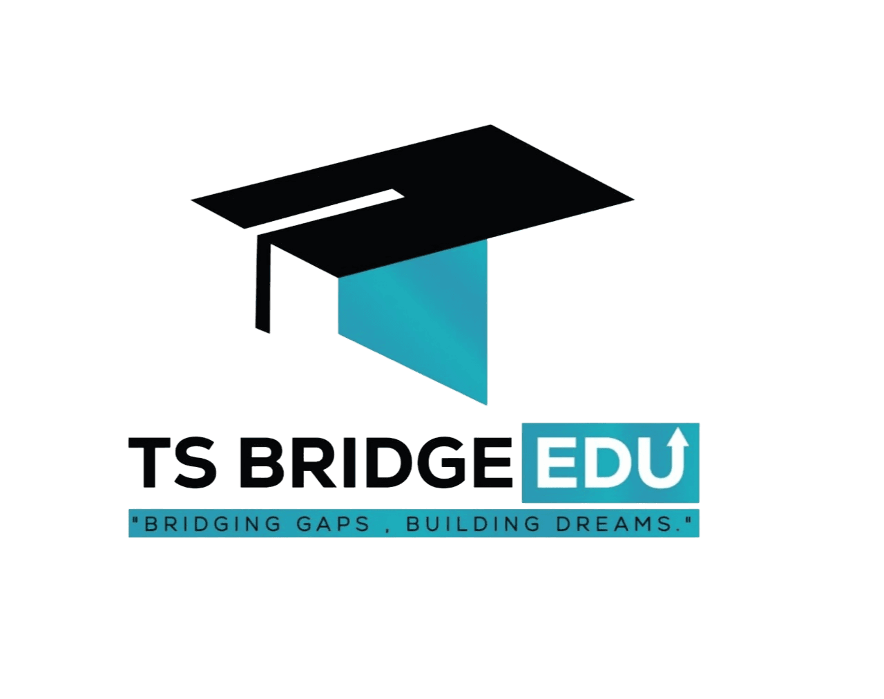 TS Bridge Logo